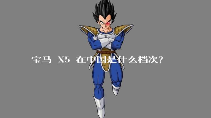 宝马 X5 在中国是什么档次？